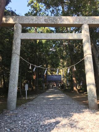 産田神社の参拝記録(じゃすてぃさん)