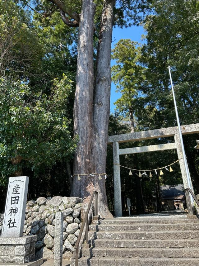産田神社の参拝記録9