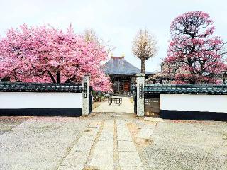 大平山 芳林寺の参拝記録(不動明王さん)