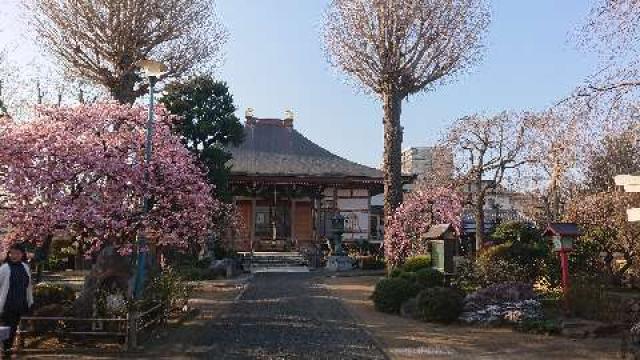 大平山 芳林寺の写真1
