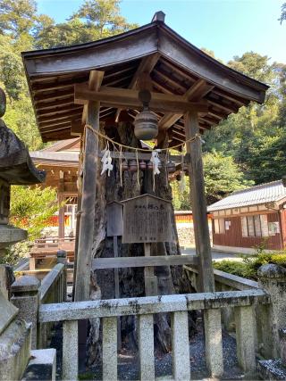 還来神社の参拝記録(二代目無宿さん)