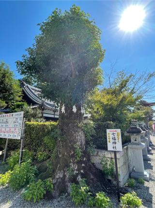 神田神社の参拝記録(KUMIKOさん)