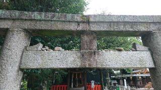 伊豆神社の参拝記録(yukiさん)