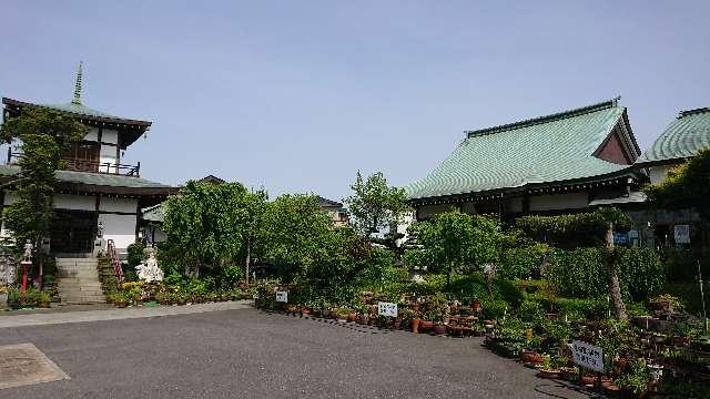 埼玉県さいたま市岩槻区本町2-7-35 光岩山 釈迦院  彌勒密寺（岩槻大師）の写真6