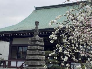 光岩山 釈迦院  彌勒密寺（岩槻大師）の参拝記録(スエさん)