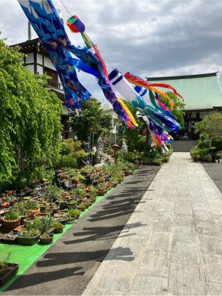 光岩山 釈迦院  彌勒密寺（岩槻大師）の参拝記録(ことけんさん)