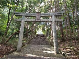 早尾神社の参拝記録(銀玉鉄砲さん)
