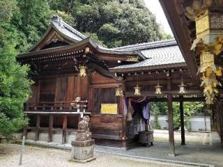 早尾神社の参拝記録(銀玉鉄砲さん)