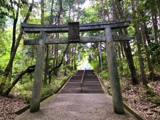 早尾神社の参拝記録(じゃすてぃさん)