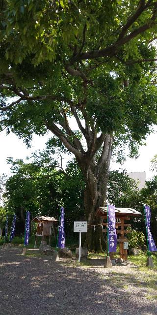 石坐神社の参拝記録(はにほへとさん)