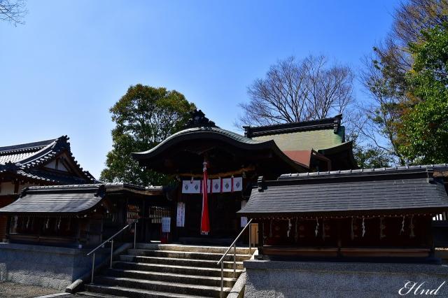 滋賀県大津市中庄1-14-24 篠津神社の写真1