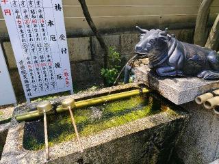 菅原院天満宮神社の参拝記録(miyumikoさん)