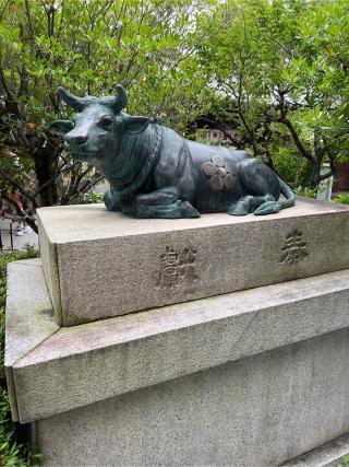 菅原院天満宮神社の参拝記録(⛩️🐉🐢まめ🐢🐉⛩️さん)