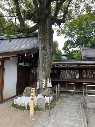 護王神社の参拝記録(⛩️🐉🐢まめ🐢🐉⛩️さん)