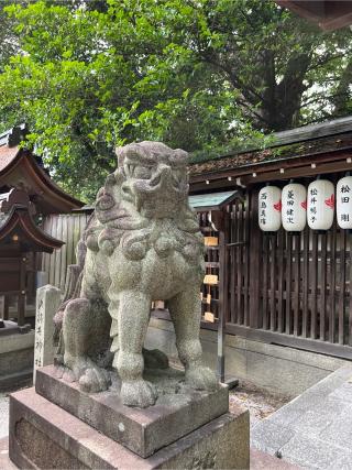 宗像神社の参拝記録(⛩️🐍🐢まめ🐢🐍⛩️さん)