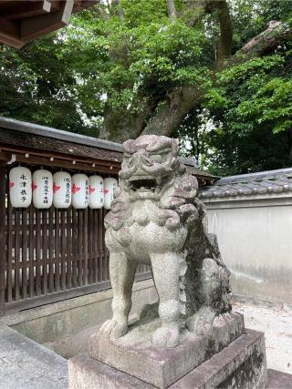 宗像神社の参拝記録(⛩️🐍🐢まめ🐢🐍⛩️さん)