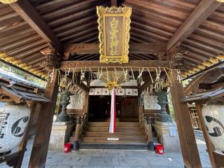 白雲神社の参拝記録(あきちゃんさん)