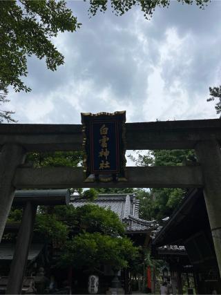 白雲神社の参拝記録(⛩️🐍🐢まめ🐢🐍⛩️さん)