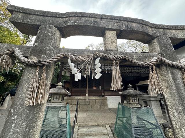嚴島神社（京都御苑厳島神社）の参拝記録(kamuさん)