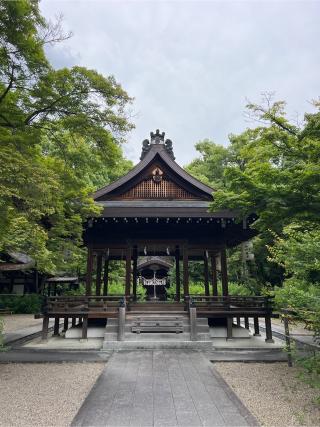 梨木神社の参拝記録(⛩️🐍🐢まめ🐢🐍⛩️さん)