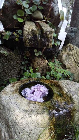 水火天満宮の参拝記録(ひろ神社仏閣さん)