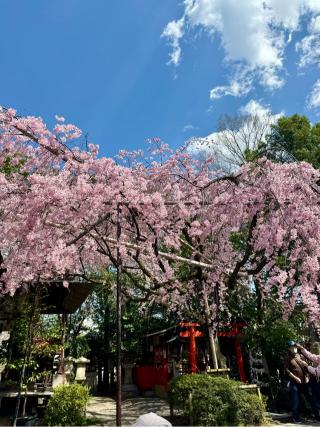 水火天満宮の参拝記録(さくらさん)