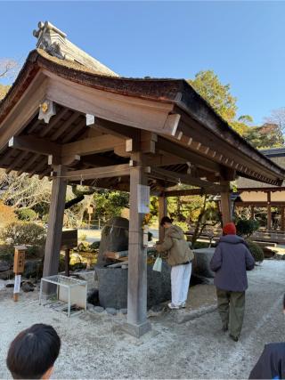賀茂別雷神社（上賀茂神社）の参拝記録(⛩️🎠🐢まめ🐢🎠⛩️さん)