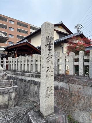 玄武神社の参拝記録(⛩️🎠🐢まめ🐢🎠⛩️さん)