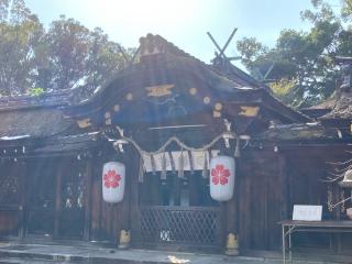 平野神社の参拝記録(gureさん)