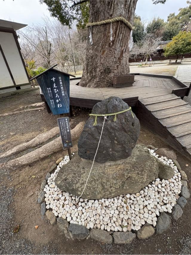 京都府京都市北区平野宮本町1 平野神社の写真10