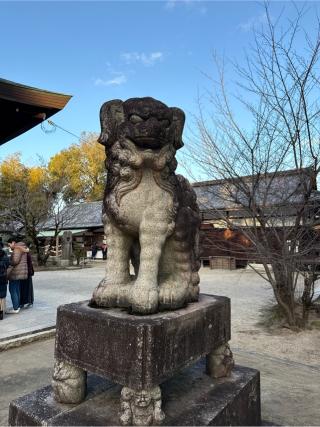 今宮神社の参拝記録(⛩️🎠🐢まめ🐢🎠⛩️さん)