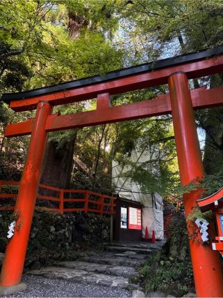 貴船神社の参拝記録(⛩️🐍🐢まめ🐢🐍⛩️さん)