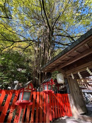 貴船神社の参拝記録(マ　ノ　さん)