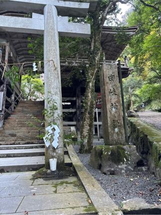 由岐神社の参拝記録(⛩️🎠🐢まめ🐢🎠⛩️さん)