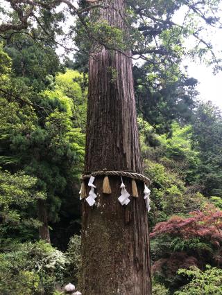 由岐神社の参拝記録(おっさん)