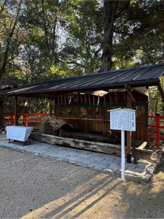 賀茂御祖神社（下鴨神社）の参拝記録(⛩️🎠🐢まめ🐢🎠⛩️さん)