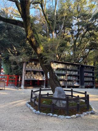 賀茂御祖神社（下鴨神社）の参拝記録(⛩️🎠🐢まめ🐢🎠⛩️さん)