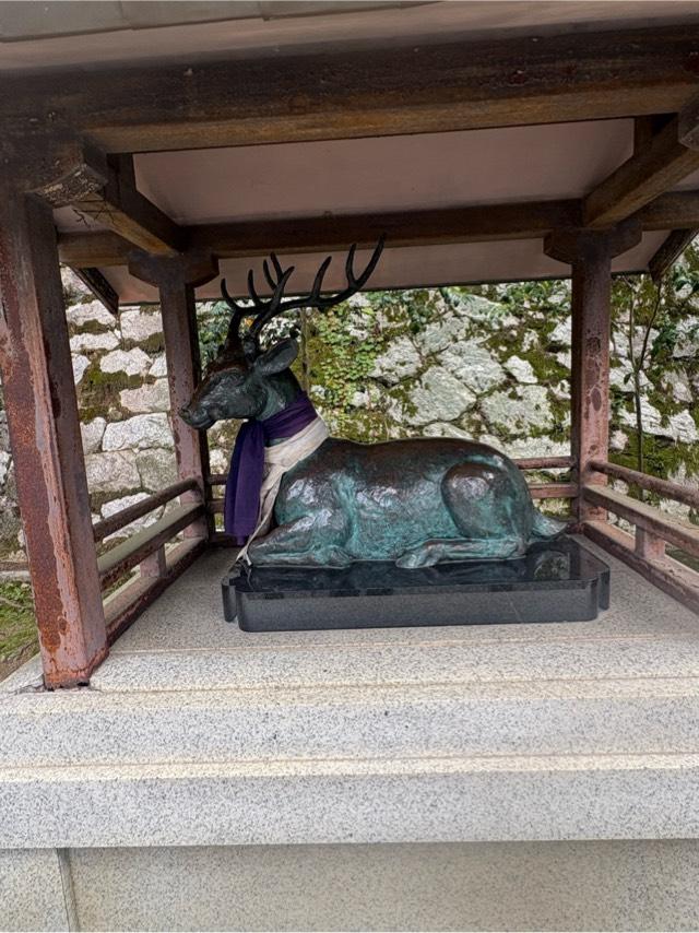 京都府京都市左京区吉田神楽岡町30 吉田神社の写真11