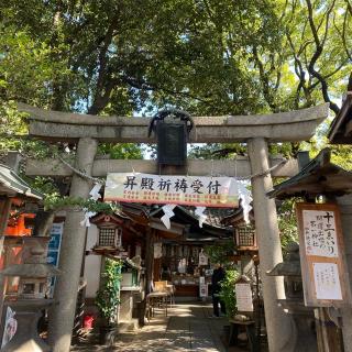 若一神社の参拝記録(結(ゆい)さん)