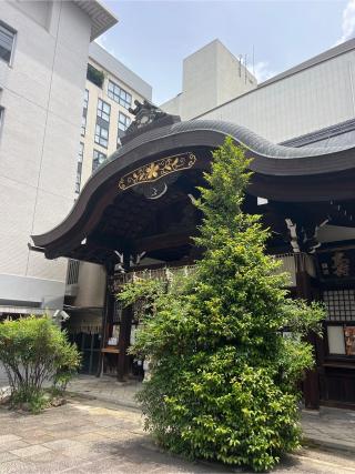 京都大神宮の参拝記録(⛩️🐍🐢まめ🐢🐍⛩️さん)