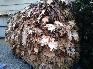 御金神社の参拝記録(yukiさん)