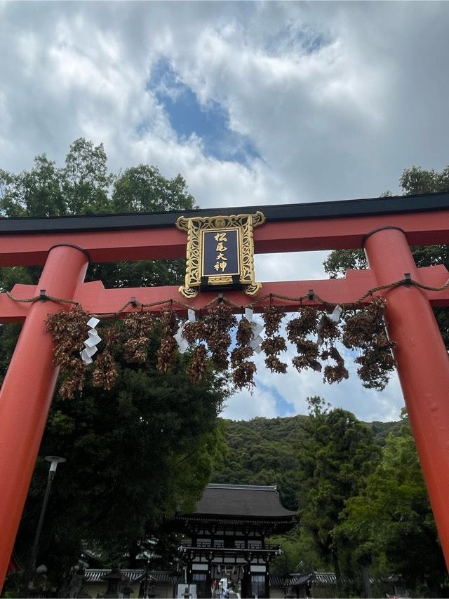 松尾大社の参拝記録5