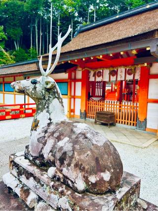 大原野神社の参拝記録(ふうりんパパさん)