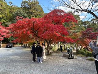 大原野神社の参拝記録(いけさん)