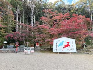 大原野神社の参拝記録(いけさん)