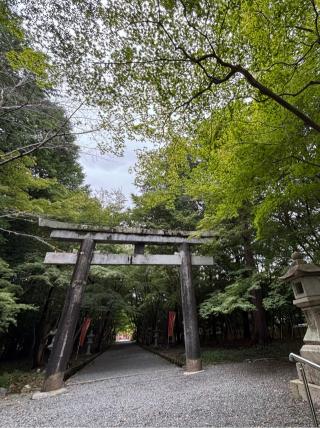大原野神社の参拝記録(マ　ノ　さん)