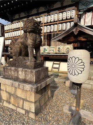 御香宮神社の参拝記録(⛩️🎠🐢まめ🐢🎠⛩️さん)