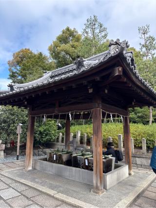 城南宮の参拝記録(⛩️🎠🐢まめ🐢🎠⛩️さん)