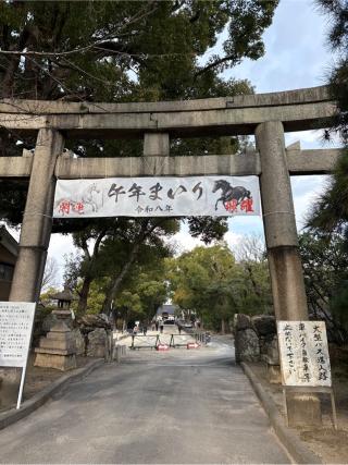 藤森神社の参拝記録(⛩️🎠🐢まめ🐢🎠⛩️さん)