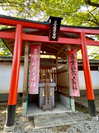 金井戸神社（三栖神社御旅所）の参拝記録(さくらさん)